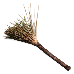 Mystical Witches Broom PNG 53