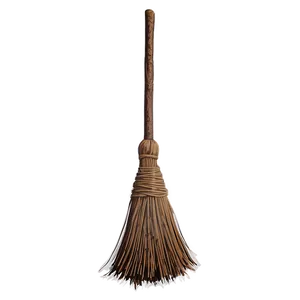 Mystical Witches Broom PNG Dol