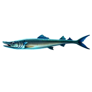 Mythical Barracuda PNG Kes