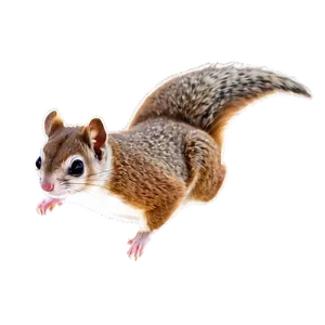 Mythical Flying Squirrel Png 65 PNG image