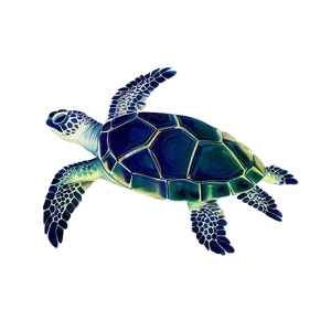 Mythical Sea Turtle Legend Png 68 PNG image