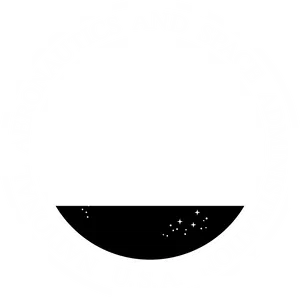 N A S A Insignia Logo PNG