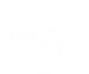 N A S A Logo Vector PNG