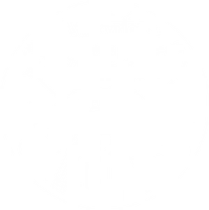 N A S A Valkyrie Robot Logo PNG image