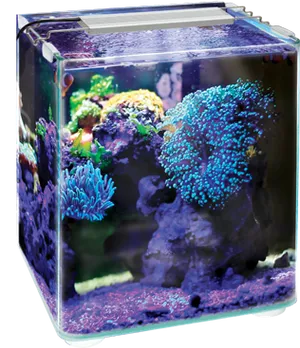 Nano Reef Aquarium Setup PNG