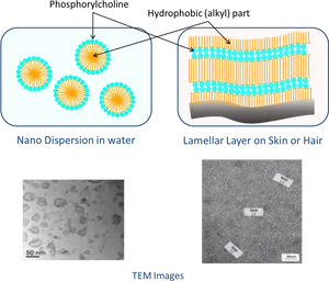 Nanoparticle Dispersionand Lamellar Structure Explanation PNG image