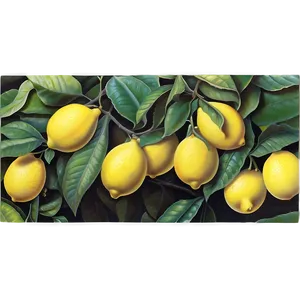 Napoli Lemon Groves Png 87 PNG image