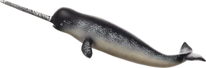 Narwhal Profilewith Tusk PNG image