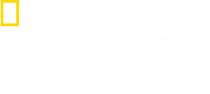 National Geographic Education Summit Logo PNG
