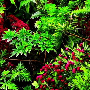 Native American Shrubs PNG Ktm PNG