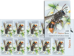 Native Bee Wasp Mimic Stamp Sheet PNG image
