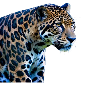Native Jaguar PNG Mrd50