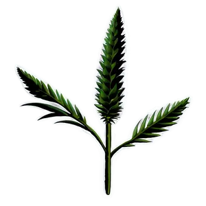 Native Plant PNG 58