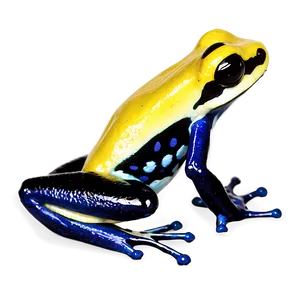 Native Poison Dart Frog PNG 76