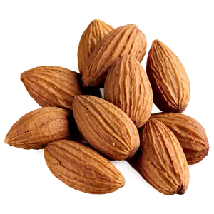 Natural Almond PNG 05242024