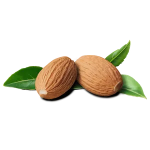 Natural Almond PNG Alp34