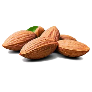 Natural Almond PNG Xir