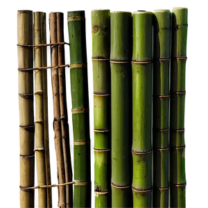 Natural Bamboo Fence PNG Hxu PNG