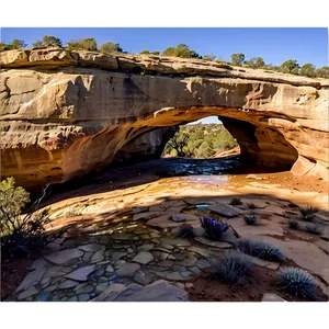 Natural Bridges National Monument PNG 06292024 PNG