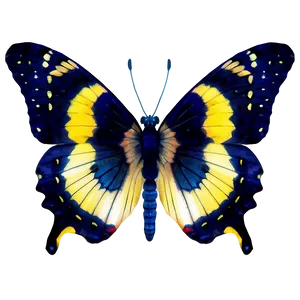 Natural Butterfly Image Png 06262024 PNG image