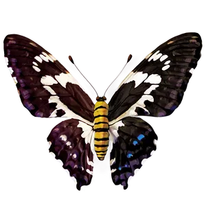 Natural Butterfly Image Png Foq43 PNG image