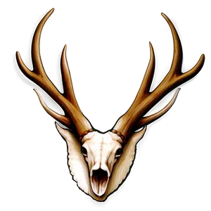 Natural Deer Antler Graphic Png 54 PNG image