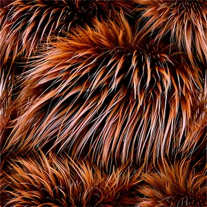 Natural Fur Texture Png Sup49 PNG image