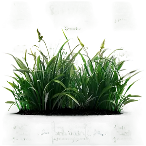Natural Green Grass PNG 06262024