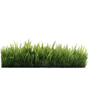 Natural Green Grass Png 2 PNG image