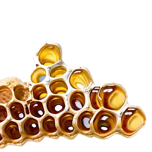 Natural Honeycomb PNG 65