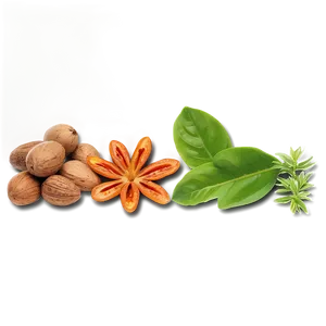 Natural Ingredients Png 31 PNG image