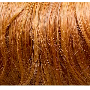 Natural Look Blond Hair PNG 60 PNG