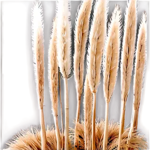 Natural Pampas Arrangement Png Hkj PNG image