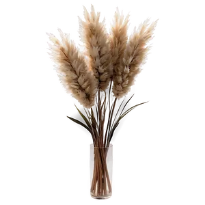 Natural Pampas Arrangement Png Nnv47 PNG image