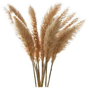 Natural Pampas Grass PNG Pap