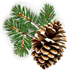 Natural Pine Cone Png Vli PNG image