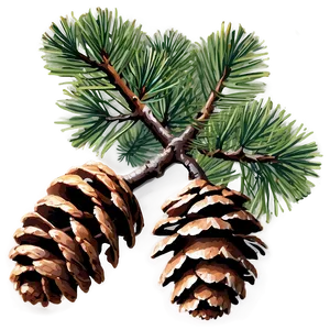 Natural Pinecone Image Png 19 PNG image