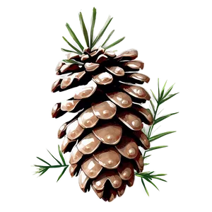 Natural Pinecone Image Png 38 PNG image