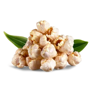 Natural Popcorn Kernel PNG 06292024
