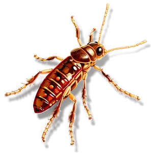 Natural Termite Repellent PNG 06292024