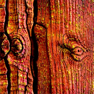 Natural Wood Grain PNG 06252024