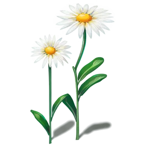 Nature Flower Stem PNG 06132024