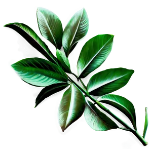 Nature Inspired Laurel PNG 35 PNG