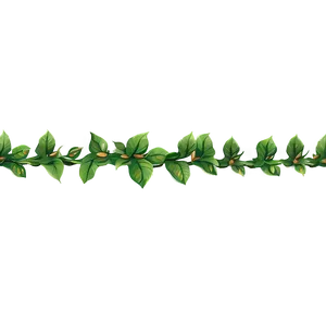 Nature Inspired Line Border PNG Rga PNG