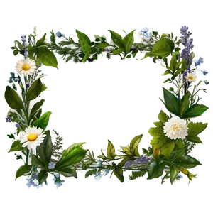 Nature Inspired Photo Border PNG Sod84 PNG