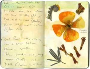 Nature Journal Page With Pressed Flower PNG image