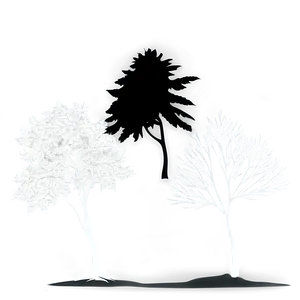 Nature Outline Silhouette PNG 30 PNG