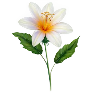 "nature's Art: Delicate Flower PNG" B