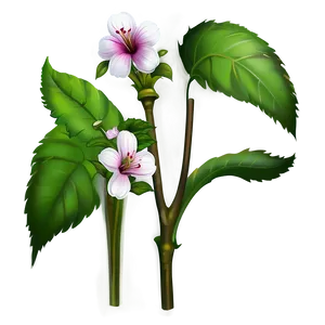 "nature's Sketch: Detailed Flower PNG" B