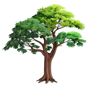 Nature Tree Top Layer Png Nxf PNG image